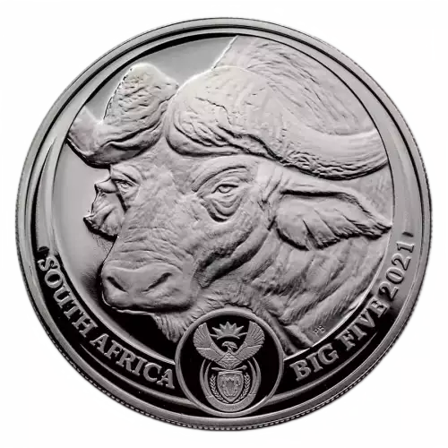 2021 South Africa 2-Coin Silver Big Five Buffalo Proof Set (w/Box & COA) (4)