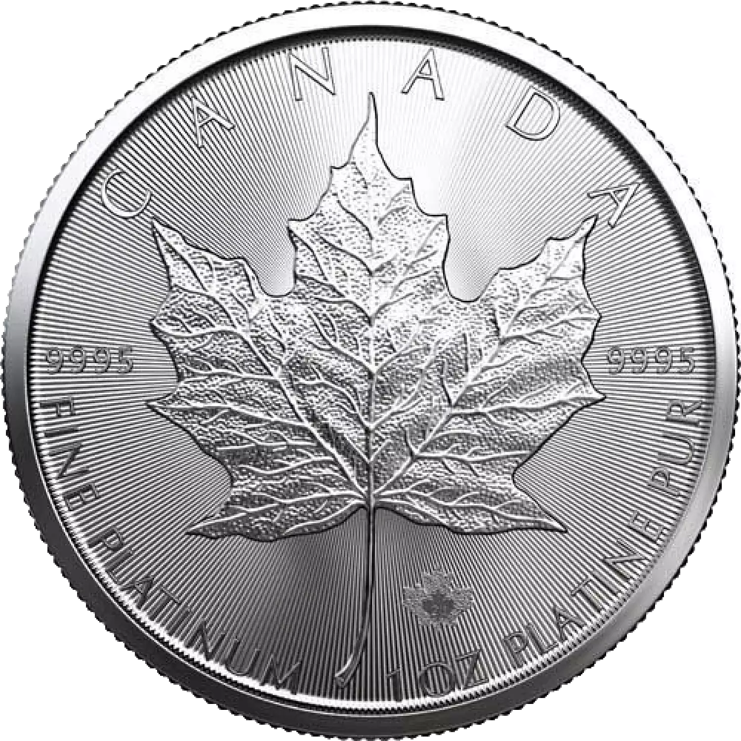 2024 1oz Canadian Platinum Maple Leaf (3)
