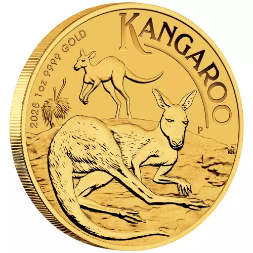 2025 1oz South African Gold Krugerrand (3)