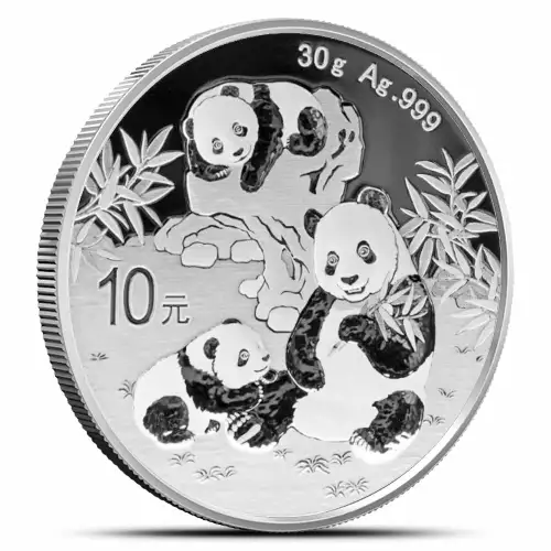 2025 30g Chinese Silver Panda (3)