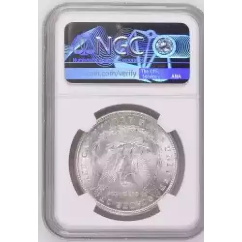 Morgan Silver Dollar (2)
